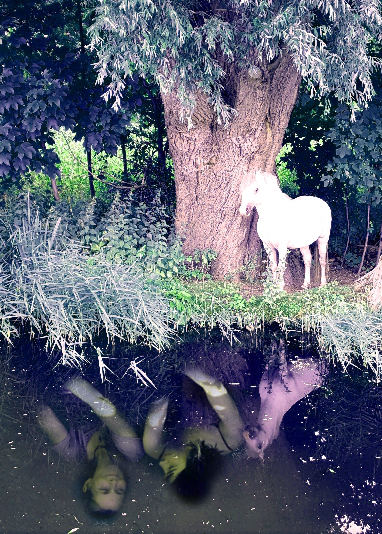 reflection